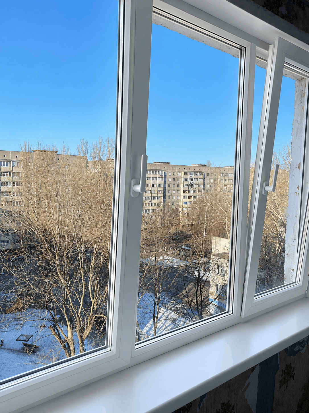 работы 6 (1)